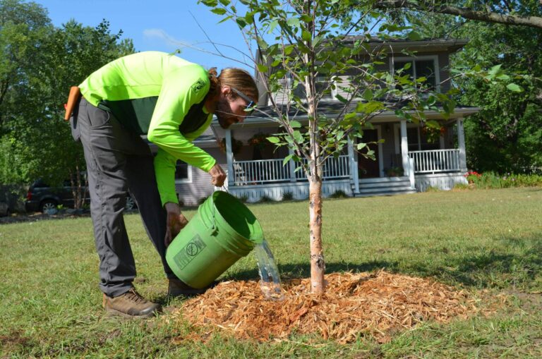 Protect your trees this fall in Bucks and Hunterdon counties with expert pruning, storm prep, and seasonal care from Riverside Tree Experts.